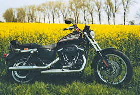 Harley-Davidson XLH 883