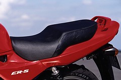 Kawasaki ER 5
