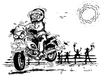 Der (Ab-)Flug des Albatros