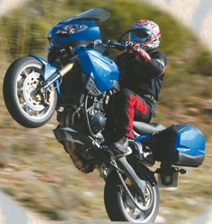 Triumph Tiger (Mod. 2007)