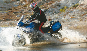 Triumph Tiger (Mod. 2007)