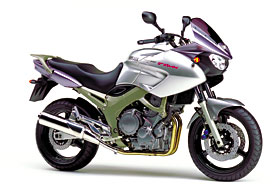 Yamaha TDM 900 (Mod. 2002)