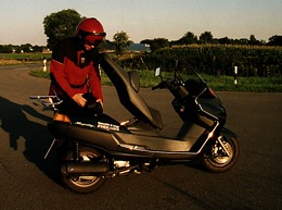 Yamaha YP 250 Majesty (Bj. 1996)