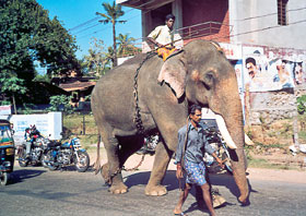 Wheel of India Gruppe