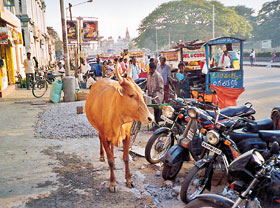 Wheel of India Gruppe