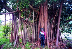 Australien/Queensland