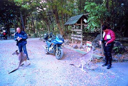 Australien/Queensland