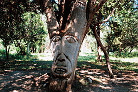 Geschnitztes Holzgesicht in der Bucht von Cala di Luna