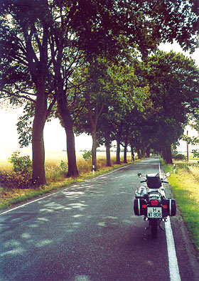 Allee in Brandenburg