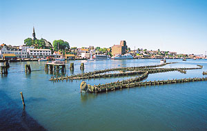 Reusenanlage bei Kappeln