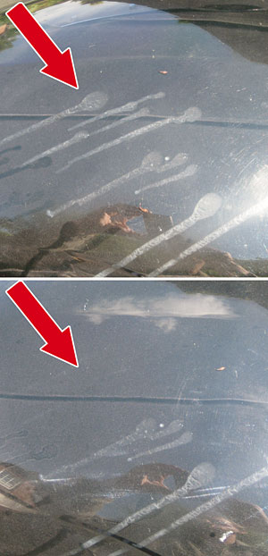 Rot-Weiß Lackpflege Rot-Weiß Lackpflege