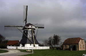 Ostfriesland_3