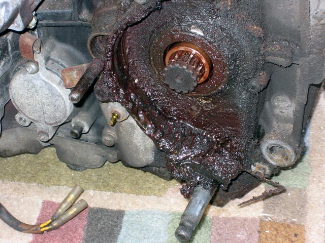 Kawasaki Z550 Detail