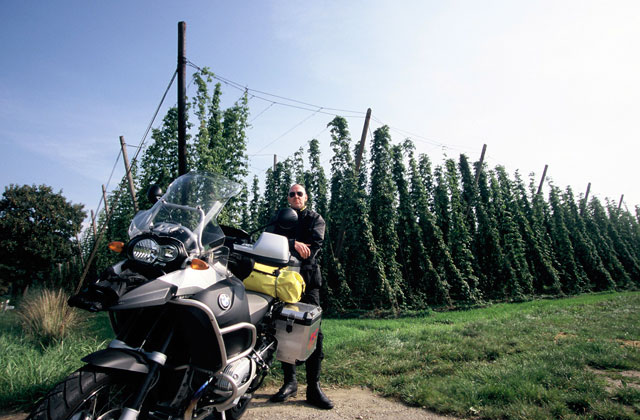 Hopfen im Altmühltal und Fränkische Alp
