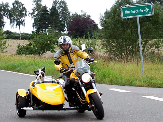 Voxan Schwenker Gespann - Rechtskurve