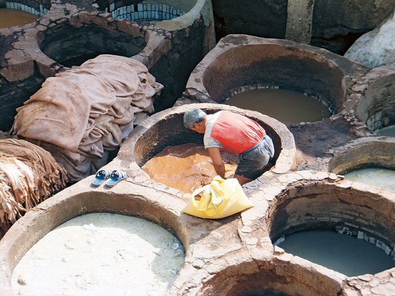 Gerberei in Fes - Enfield Diesel in Marokko