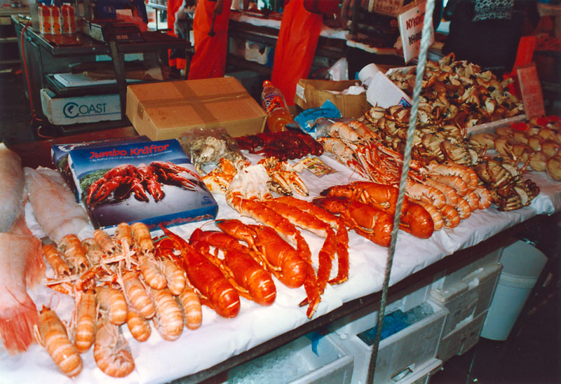 Norwegen Lofoten Frutti-di-mare