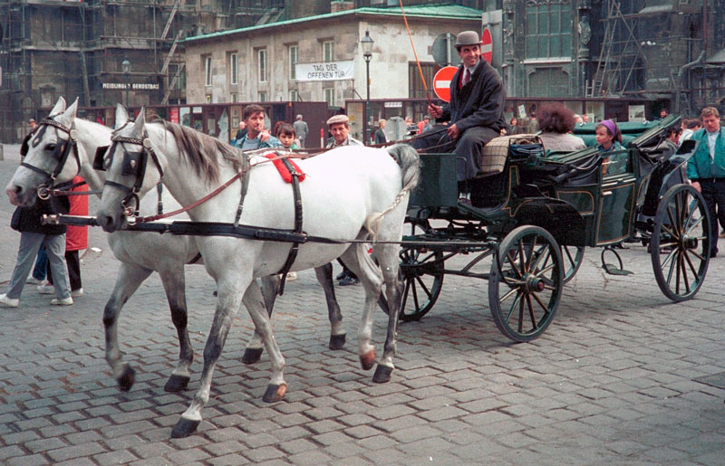 Wien-Fiaker-am-Stephansdom