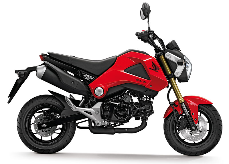 Honda-MSX-125 rot