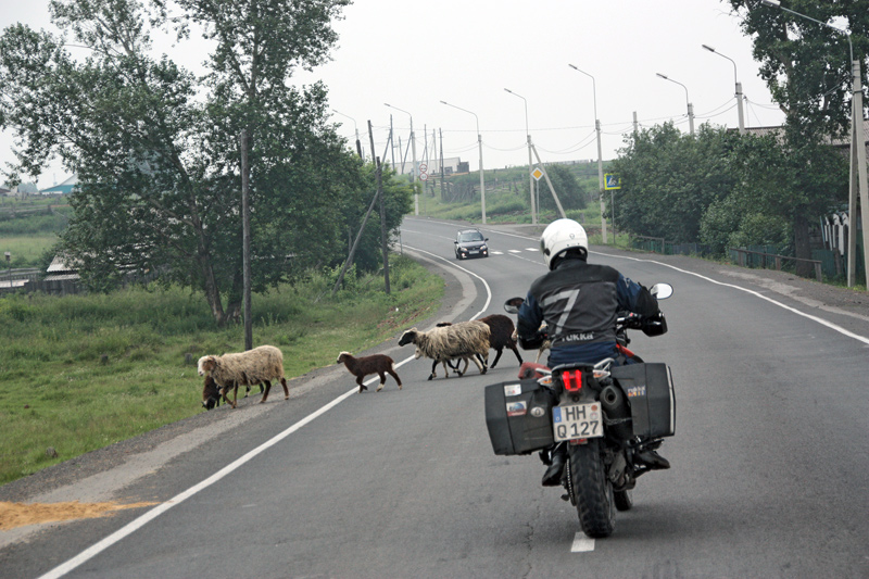 Auf-der-M-53-in-Sibirien