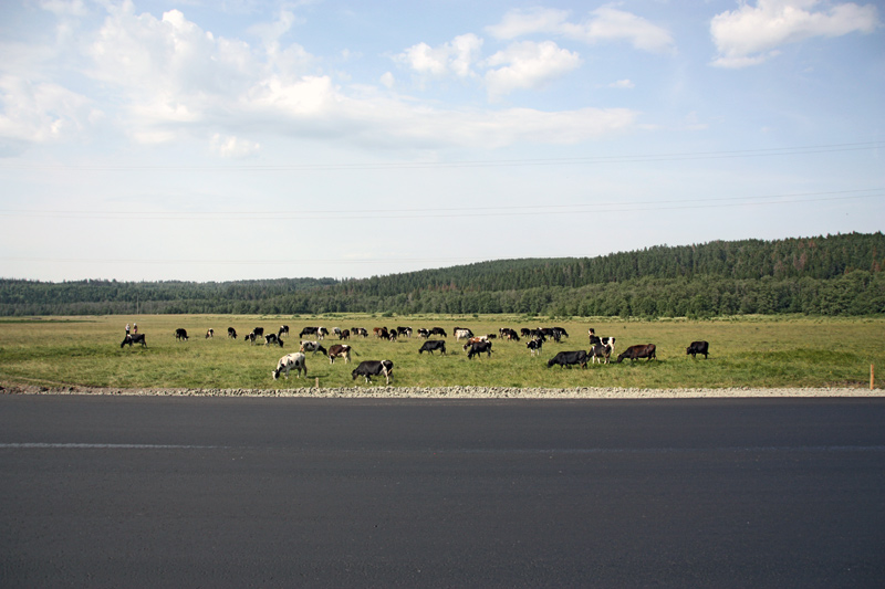 Landschaft-in-Sibirien