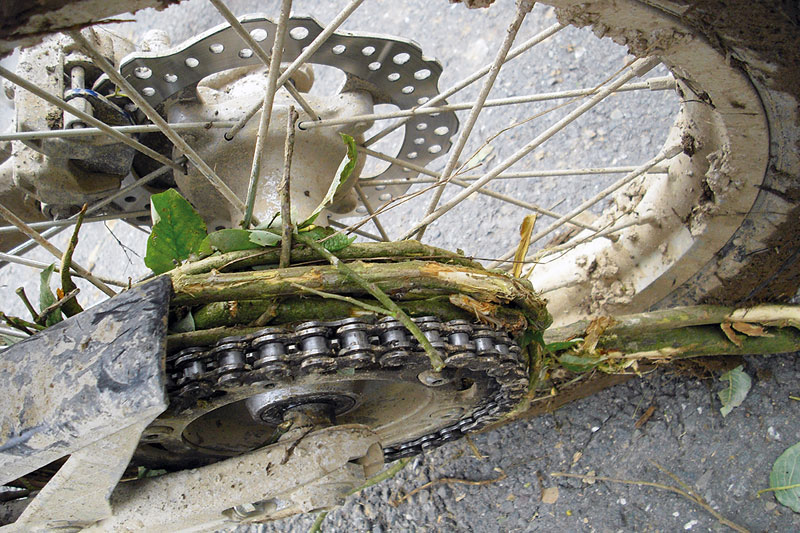 aufgewickelter Zweig