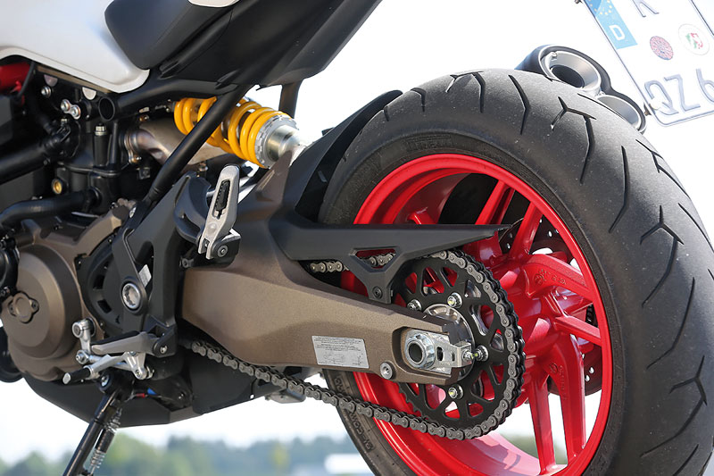 Ducati Monster 821 Schwinge