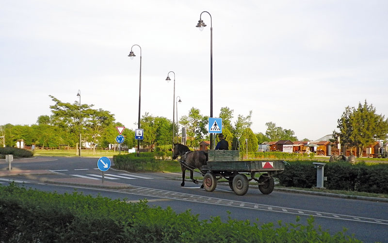Pferdefuhrwerk in der Puszta