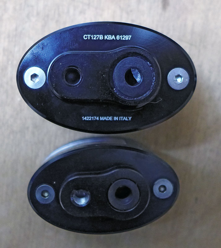 Rizoma-vs-China-unten