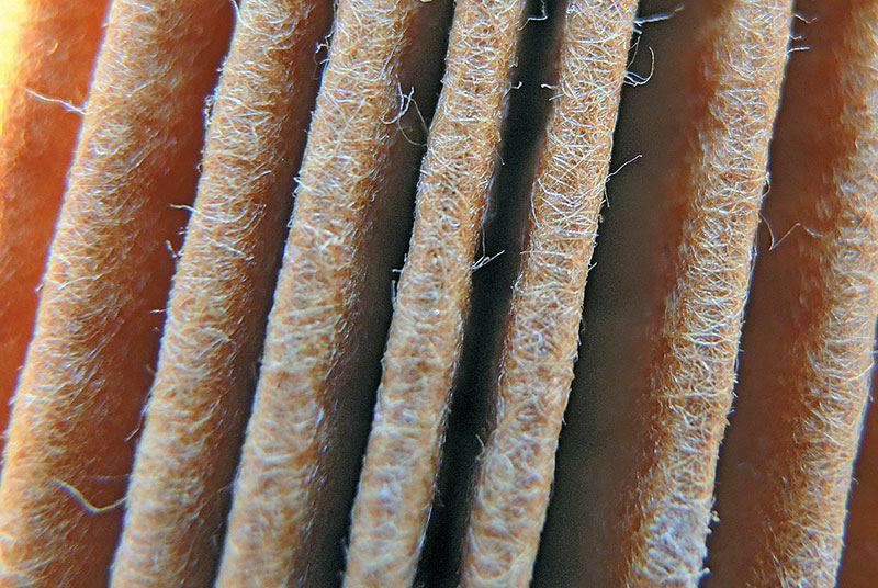 Feinstes Filtervlies