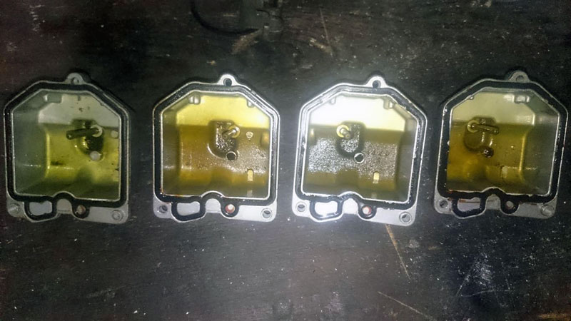 Gelee in Schwimmerkammern