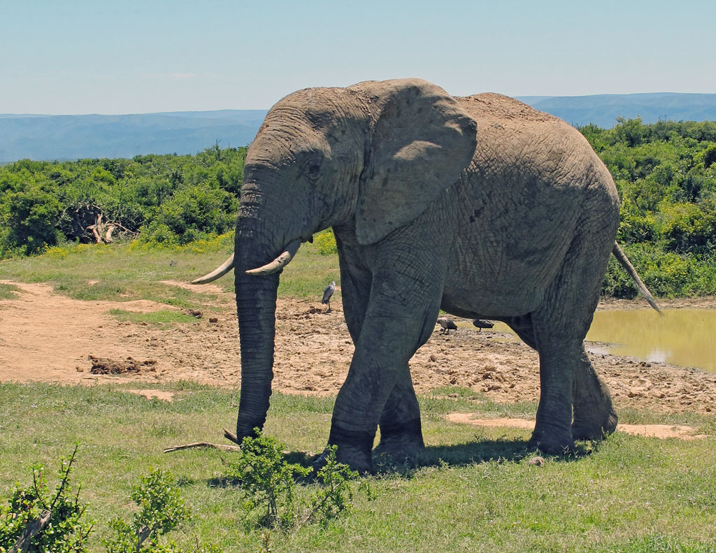 Reisebericht Suedafrika mit Leihmotorrad 3