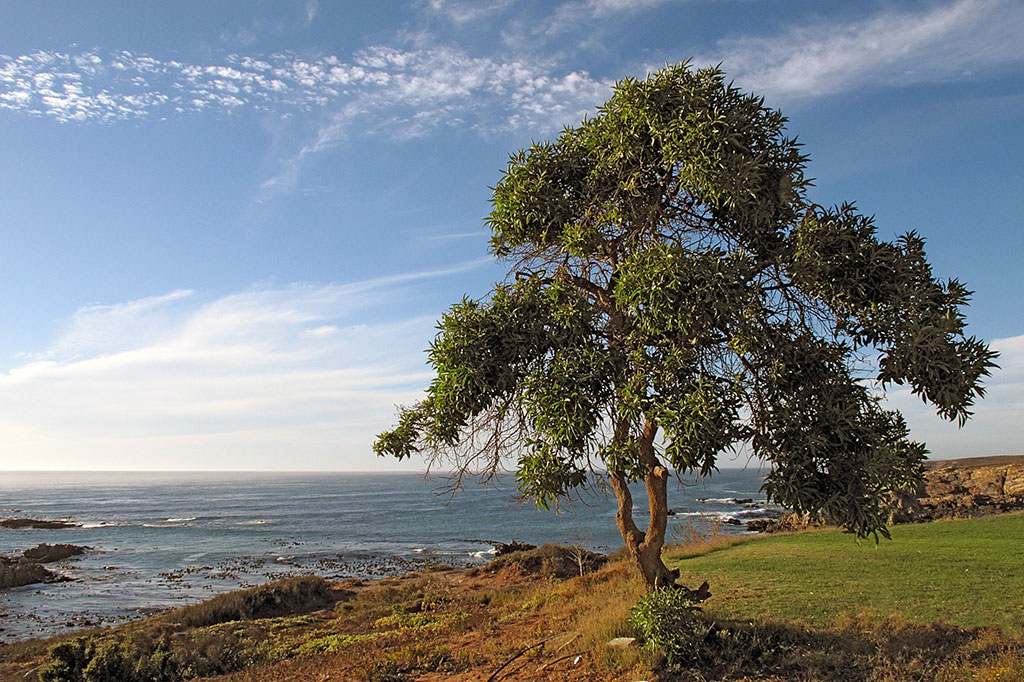 Reisebericht Suedafrika mit Leihmotorrad 9