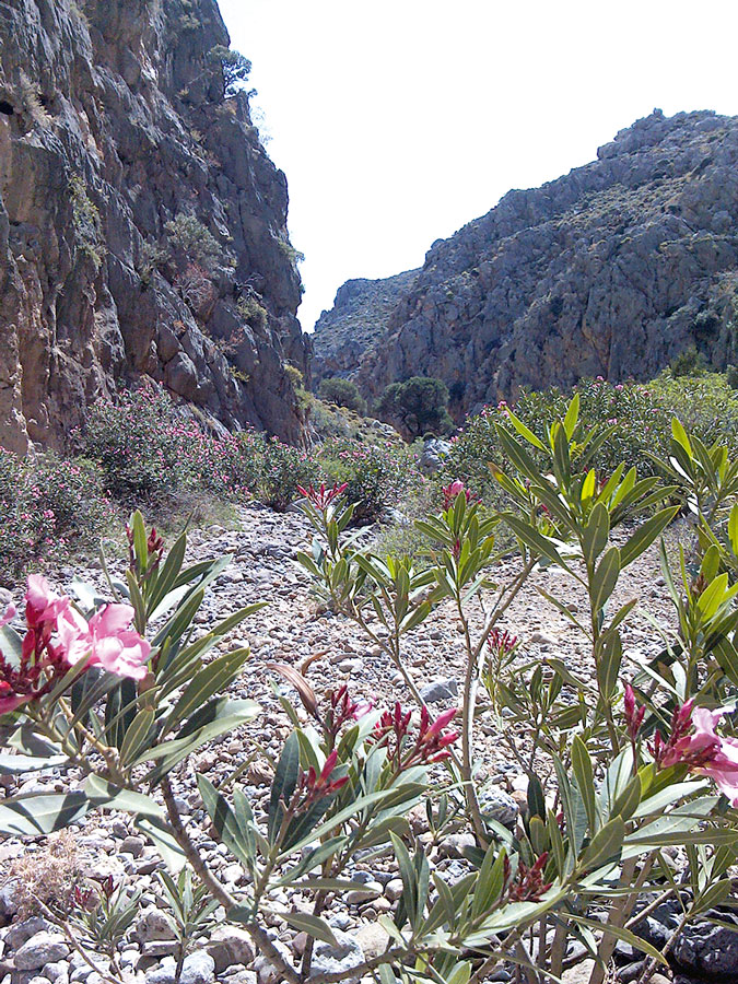 Schluchten befahrbar oder begehbar