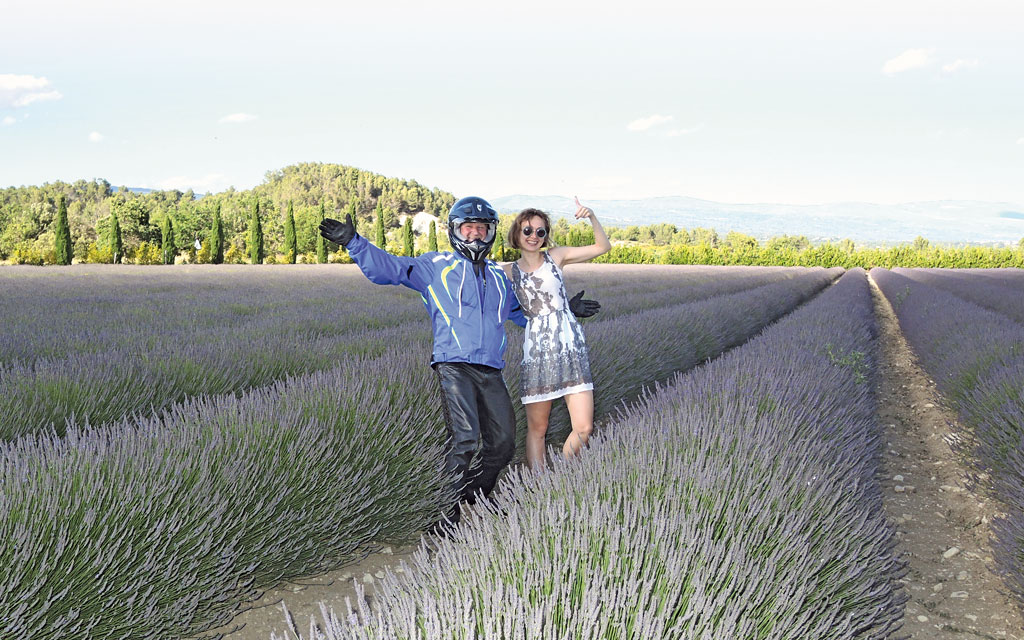 Lavendelbluete Provence mit Endurofun Tours 