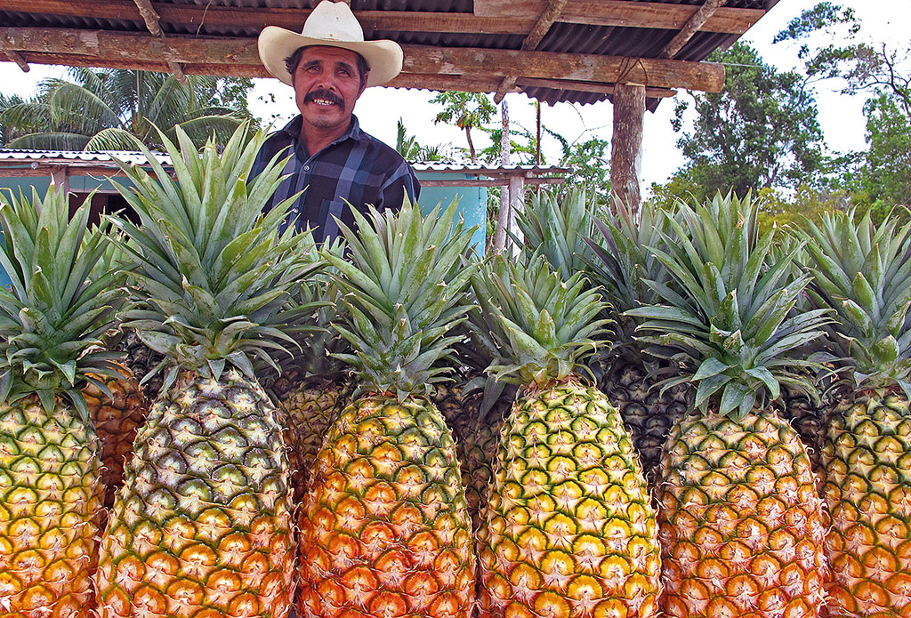 Beliebte Snacks am Strassenrand
