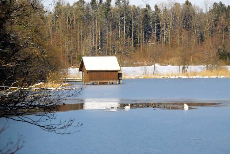 Gespann-Wintertour im Allgäu