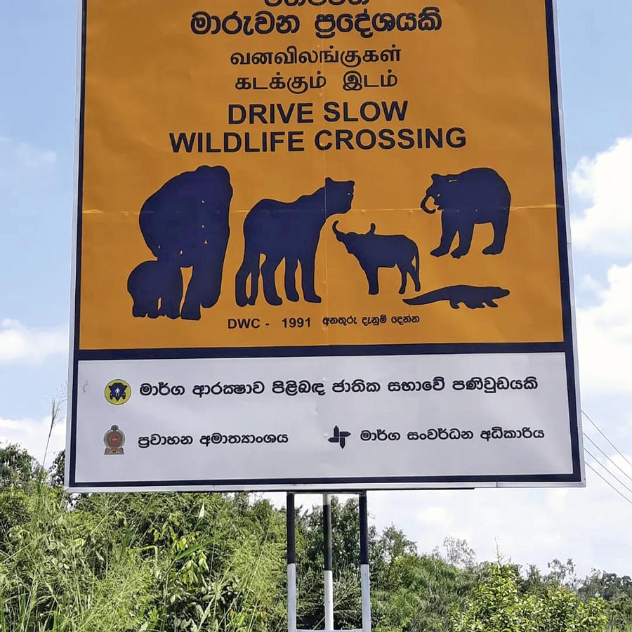 Wildlife auf Sri Lanka