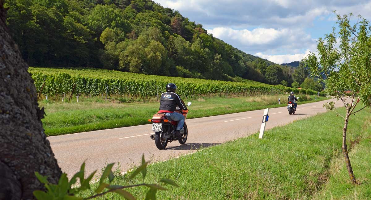 Fahrspaß im Pfälzerwald