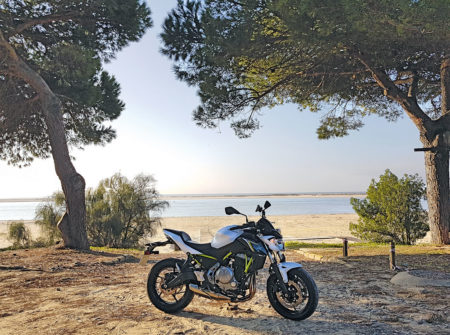 Kawasaki Z650, Modell 2017