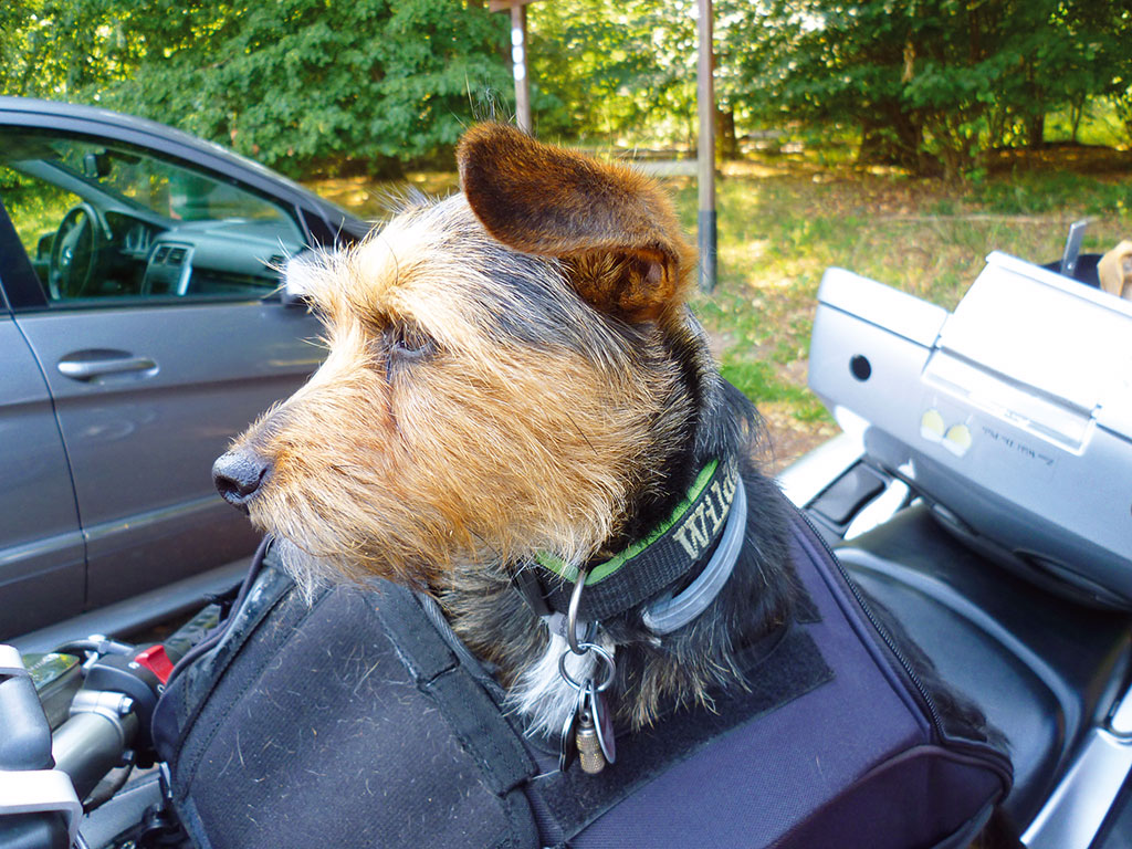 Bagster Tankrucksack Friendy