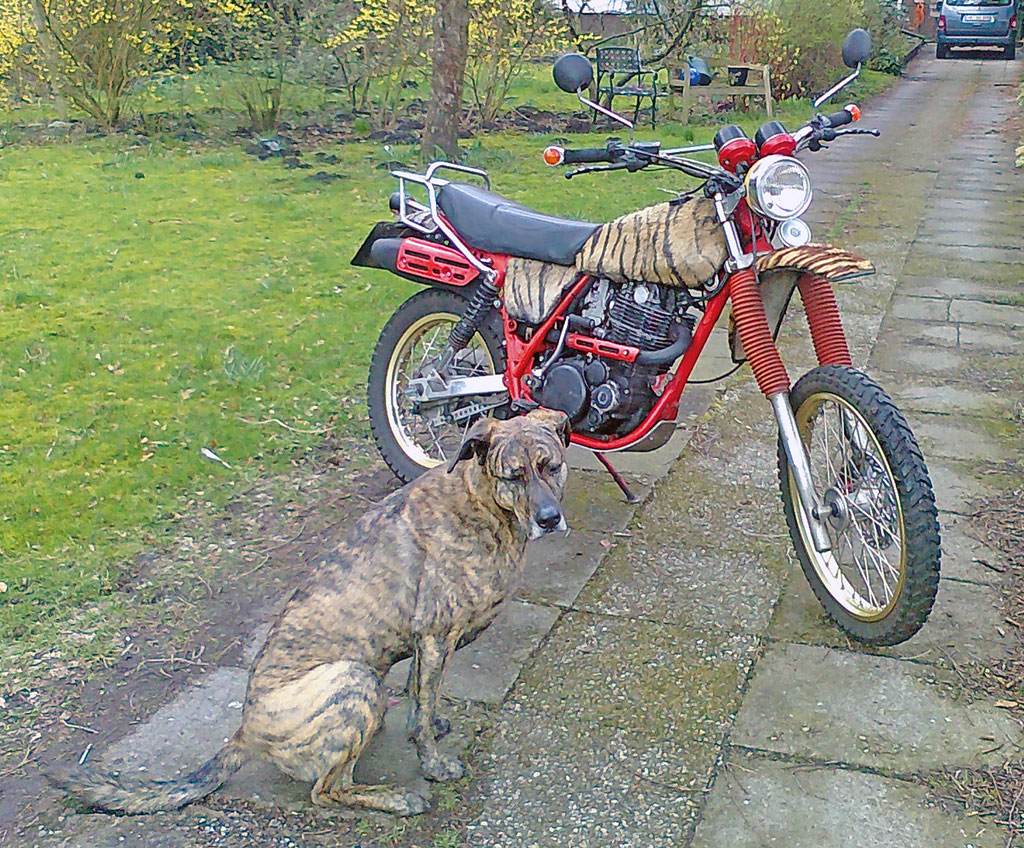 Frisch gebürstet: XTiggr & Roggy 2014