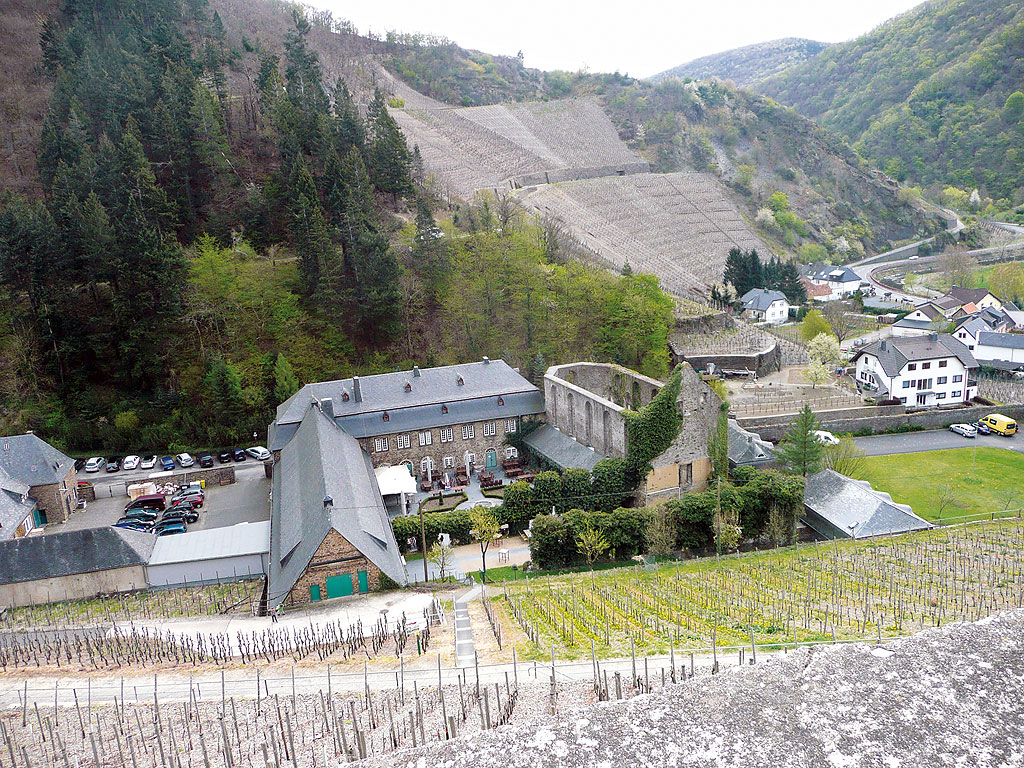 Kloster Marienthal in den Weinbergen