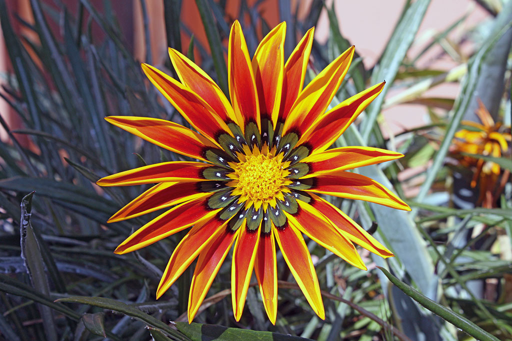 Mit dem Motorrad auf den Liparischen Inseln © Tina & Kai Sypniewski Mit dem Motorrad auf den Liparischen Inseln © Tina & Kai Sypniewski