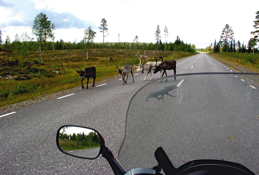 Yamaha FJR 1300 am Polarkreis
