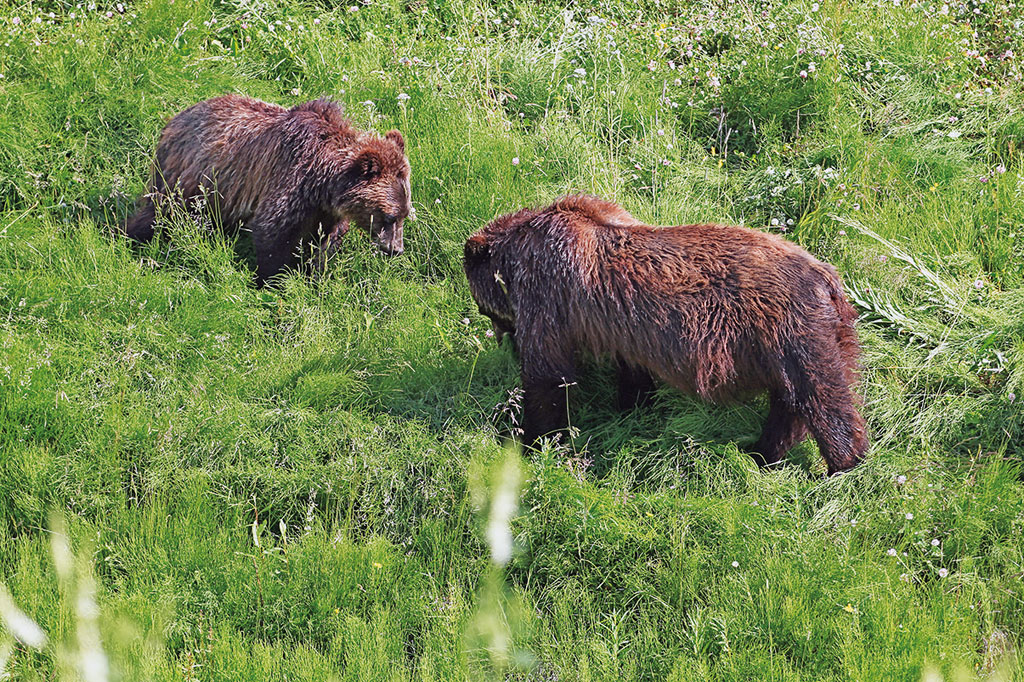 Motorradreise Alaska - © Erik Peters, www.motorradreisender.de