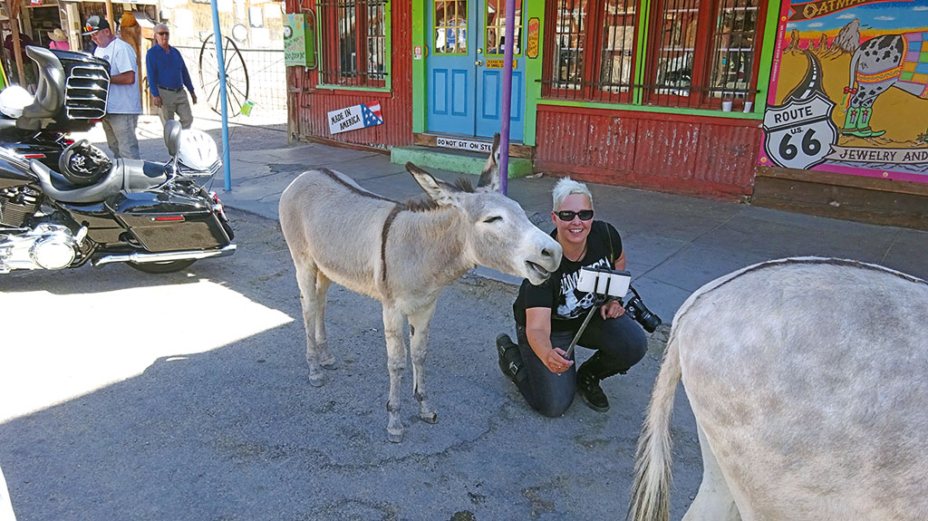 Die alte Goldgeräberstatt Oatman mit ihren wilden Eseln - USA - Wilder Westen 