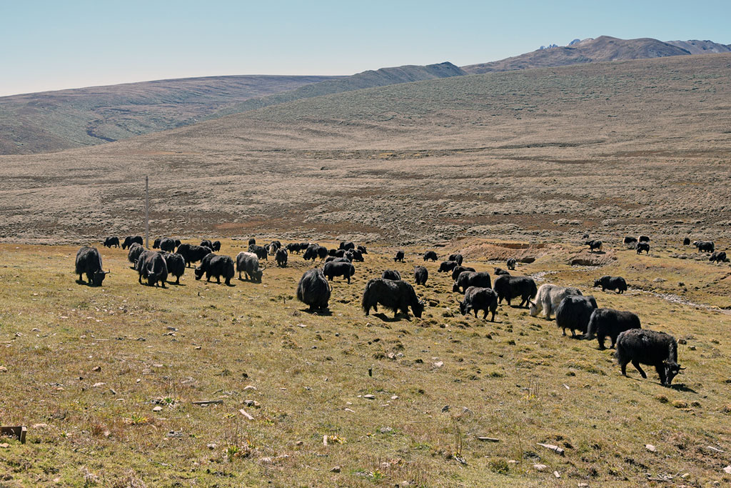 Motorrad-Gruppenreise Yunann, China