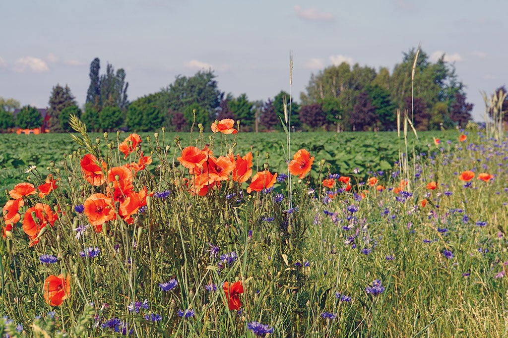Motorradtour zum Spreewaldring Motorradtour zum Spreewaldring