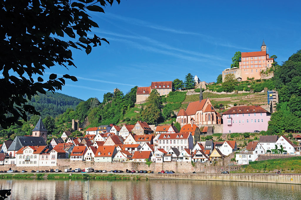 Stadtansicht von Hirschhorn